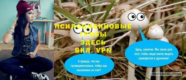 бошки Николаевск-на-Амуре