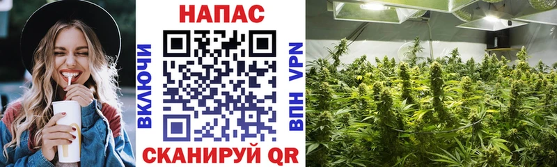 МАРИХУАНА конопля как найти закладки Старый Крым